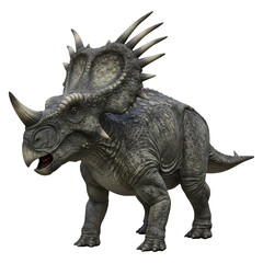 Fototapeta premium Ceratopsian Dinosaur