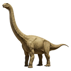 Obraz premium Sauropod Dinosaur