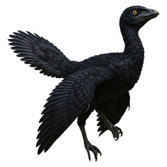 Obraz premium Black Dinosaur Bird