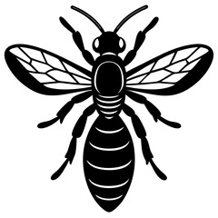 bee vector illustration