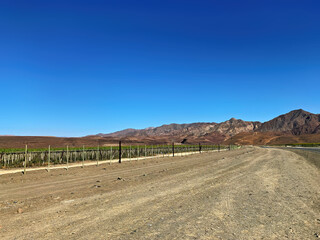 Wine growing region in southern Namibia near Aussenkehr and the border to South Africa. Ai-Ais...