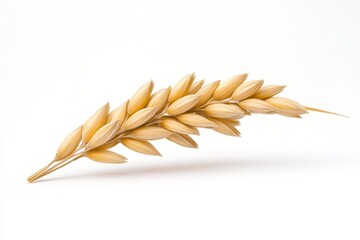 ears of wheat