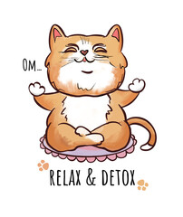 red cat in meditation relax and detox