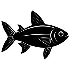 fish isolated on white