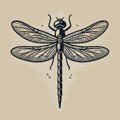 dragonfly vector illustration