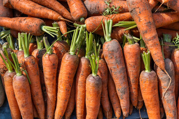Pile of fresh carrots in market