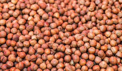 A pile of hazelnuts in market