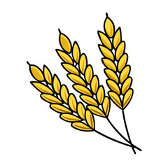 barley icon, barley vector illustration-simple illustration of barley, perfect for barley logos and themed design 