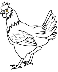 hen