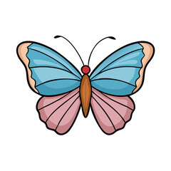 butterfly icon, butterfly vector illustration-simple illustration of butterfly, perfect for butterfly logos and themed design 