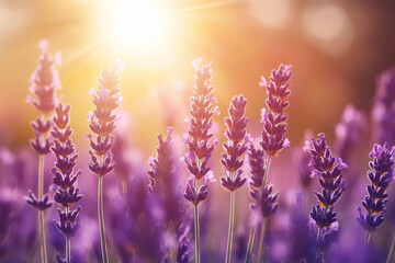 Colorful flowers blossom in garden generative ai moden design