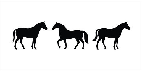 horse set illustration on white background. horse set vector.