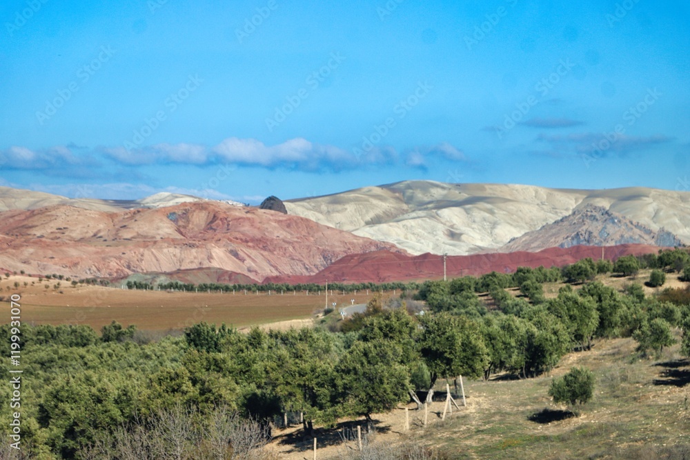 Canvas Prints Northern Morocco