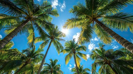 Relaxing under a clear sky with swaying palm trees in a tropical paradise during midday