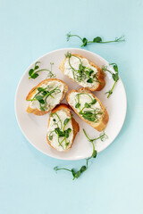 Sandwiches with fresh sprouting microgreens. Sprouted peas seeds micro greens. Vegan food
