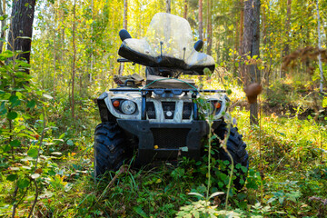 all-terrain vehicle sits neglected among tall grass and bushes in a quiet forest. All Terrain...