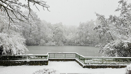 A snowy landscape with a green fence and a body of water