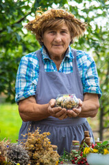 Medicinal herbs alternative medicine old woman. Selective focus.