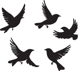 Silhouette of flying birds set on white background 