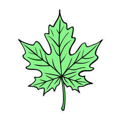 Fototapeta premium maple tree leaf icon, maple tree leaf vector illustration-simple illustration of maple tree leaf, perfect for maple tree leaf logos and themed design 