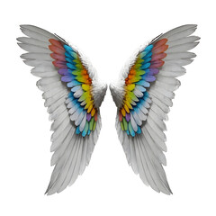 Obraz premium realistic Colorful angel Wing