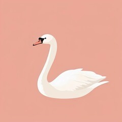 Fototapeta premium white swan on the water