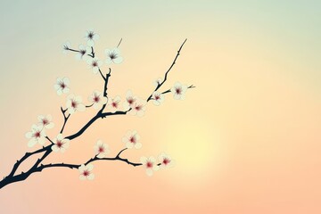 Delicate White Blossoms on Branch Against Soft Sunset Sky