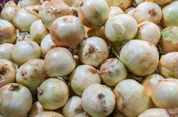 Pile of yellow onions in market