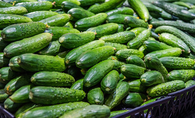 Pile of fresh cucumbers in market