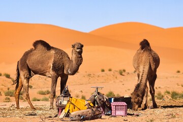Merzouga, Morocco