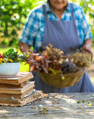 Medicinal herbs alternative medicine old woman. Selective focus.