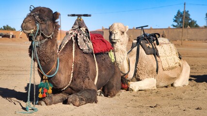 Merzouga, Morocco