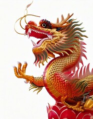 lunar new year, the symbol of happiness is dragon fighting on a white background