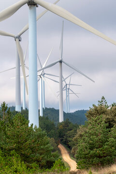 This picturesque image captures wind turbines nestled within lush green hills, symbolizing the harmony between nature and sustainable energy practices.