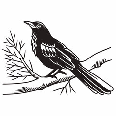 bird on a branch