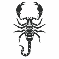 scorpion isolated on white background