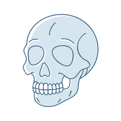 skull icon, skull vector illustration-simple illustration of skull, perfect for skull logos and themed design 