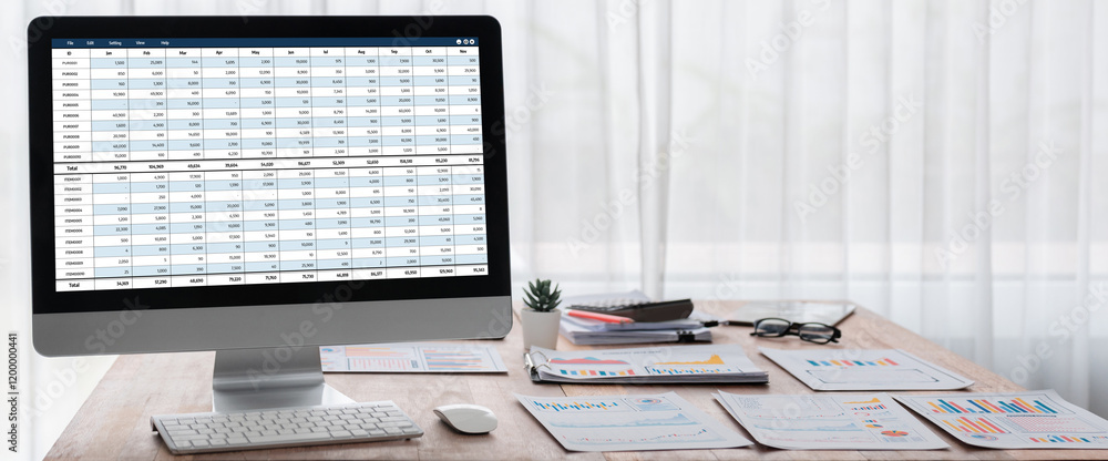 Poster accounting software on computer screen showing financial statement spreadsheets and account balance 