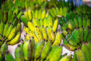 Green bananas.