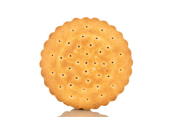 One sweet delicious cookies, close-up, isolated on white background.