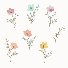 elements of flowers and leaves on a white background, cosmos flowers in pastel colors