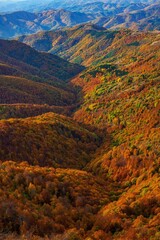 autumn landscape in the mountains