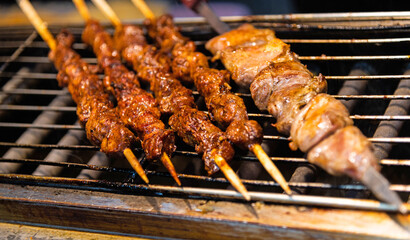 Meat skewers on the grill