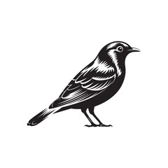 Bird Vector