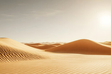 Endless golden sand dunes stretch beneath a clear sky in the late afternoon sun