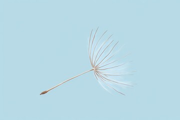 Single Dandelion Seedhead Against Light Blue Background