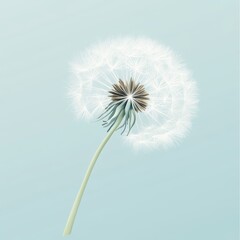 A Single Dandelion Seed Head Against A Light Blue Background