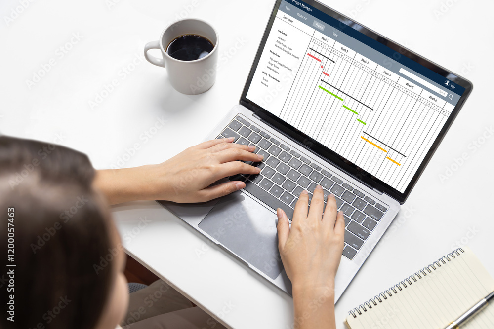 Poster project planning software for brisk business project management on the computer screen showing timel