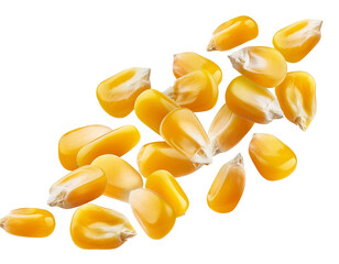 Fototapeta premium Many Flying corn seeds isolated on white background, cut out