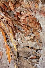 View of a part of a sedimentary rock. Yellow-brown abstract background. Texture of natural stone. Brown-yellow background for a banner. Rough drawing of a rock layer.